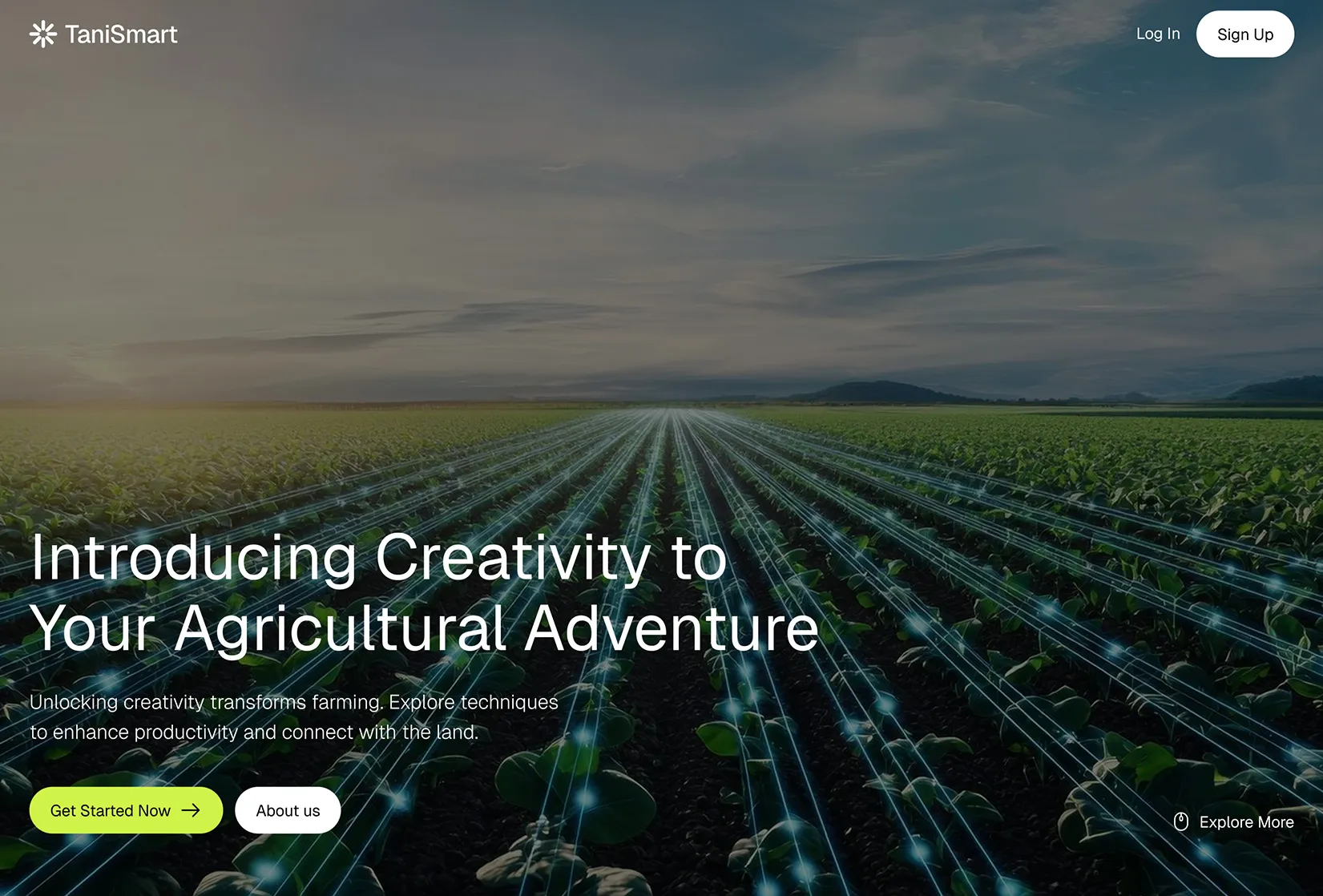 TaniSmart screen project